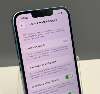 iPhone 13 256GB Blue 100%